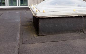 disadvantages of Winterbourne Steepleton flat roofs