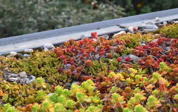 the cost of Winterbourne Steepleton green roof installation