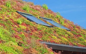 Winterbourne Steepleton living roof systems