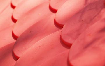 Winterbourne Steepleton plastic roof costs