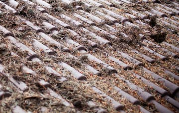 Winterbourne Steepleton roof cleaning companies