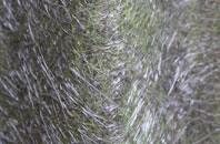 Winterbourne Steepleton fibreglass roof work