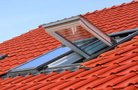 Winterbourne Steepleton roof window