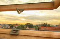rated Winterbourne Steepleton roof window companies